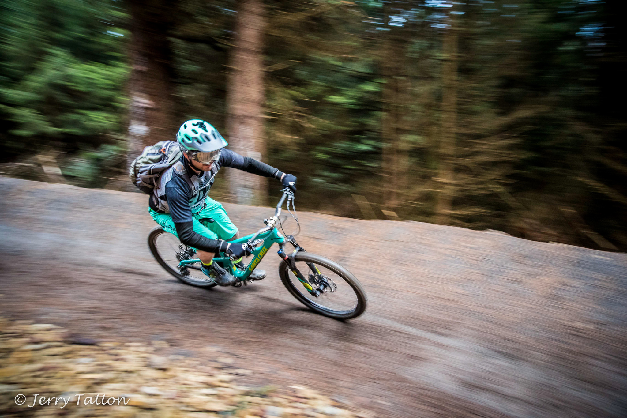 Cycling and mountain biking trails at Grizedale Forestry England